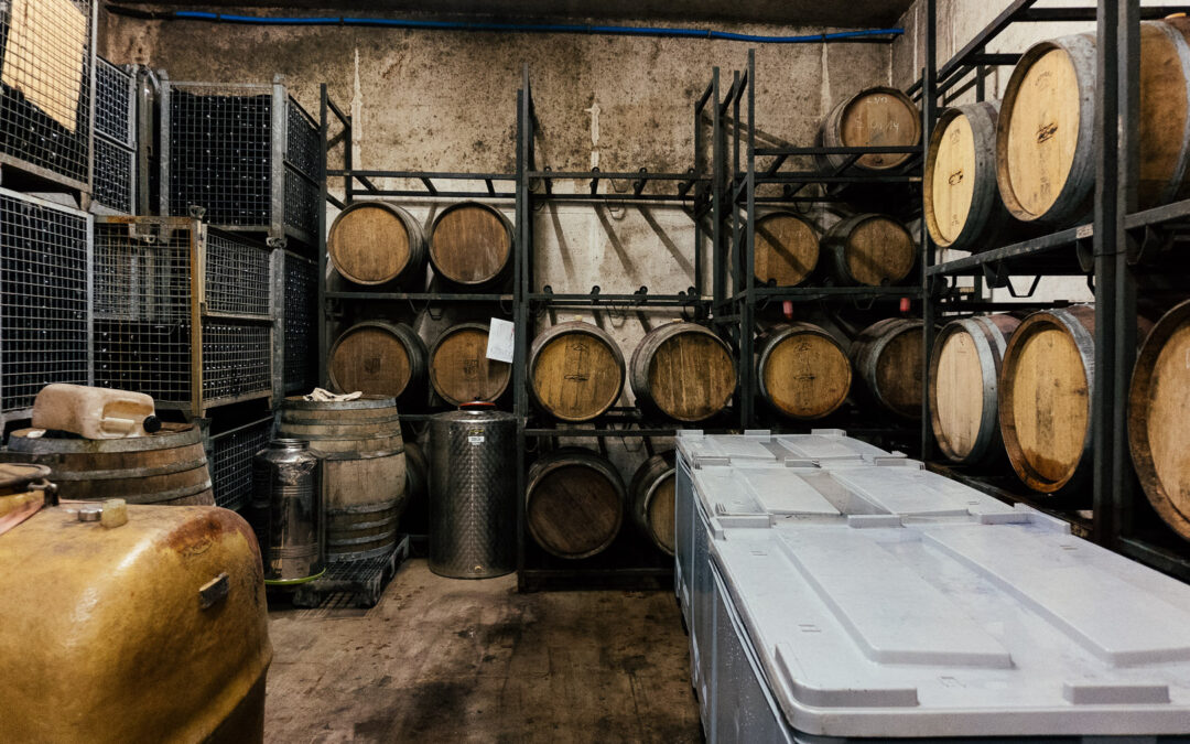 Wein Museum
